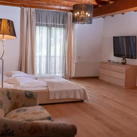 Conacul Vanatorului 3*